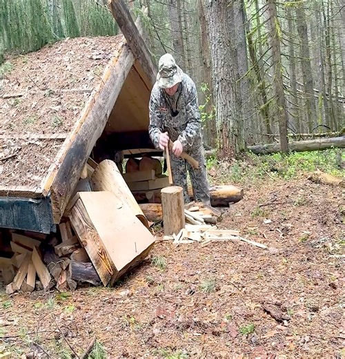 Bad weather shelter can be provided by a cozy shelter in the wild forest. | Thomas Wilderness