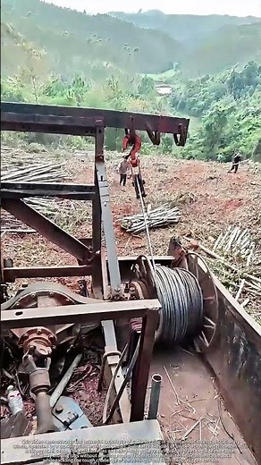 Loggers Use a Winch and Cable to Drag Trees