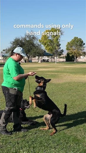 Commands using hand signals only