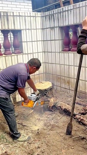 cutting a large wooden tree stump into smaller pieces using a portable orange electric chainsaw