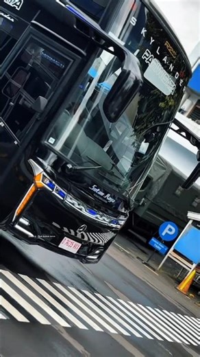 Skylander 1 Di Sumatra, Bagaimana tanggapan kalian nii,? #fypシ #busmania