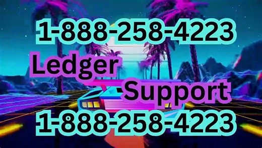 Ledger Support Made Easy: Contacting Help via Phone and Chat