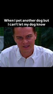 They still know. . They always know. . All jokes aside did you know a dogs sense of smell is extraordinaryfar beyond what humans can even imagine. While we rely mostly on our eyes to interpret the world, dogs experience life primarily through their noses. They have up to 300 million scent receptors compared to our mere 5 million, and a part of their brain dedicated to analyzing scents that’s about 40 times larger than ours. This allows them to detect odors at incredibly low concentrations, disti