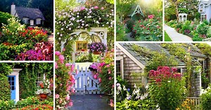 15 Vibrant Cottage Garden Layouts To Enchant You