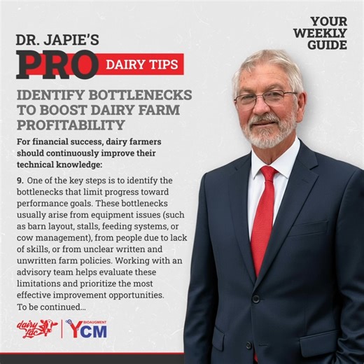 𝗜𝗱𝗲𝗻𝘁𝗶𝗳𝘆 𝗕𝗼𝘁𝘁𝗹𝗲𝗻𝗲𝗰𝗸𝘀 𝘁𝗼 𝗕𝗼𝗼𝘀𝘁 𝗗𝗮𝗶𝗿𝘆 𝗙𝗮𝗿𝗺 𝗣𝗿𝗼𝗳𝗶𝘁𝗮𝗯𝗶𝗹𝗶𝘁𝘆. 𝗗𝗿. 𝗝𝗮𝗽𝗶𝗲’𝘀 𝗣𝗿𝗼 𝗗𝗮𝗶𝗿𝘆 𝗧𝗶𝗽𝘀 - Your Weekly Guide For financial success, dairy farmers should continuously improve their technical knowledge. 9. One of the key steps is to identify the bottlenecks that limit progress toward performance goals. These bottlenecks usually arise from equipment issues (such as barn layout, stalls, feeding systems, or cow management), from people due