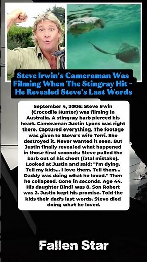 Steve Irwin's Cameraman Was Filming When The Stingray Hit - He Revealed Steve's Last Words. #shorts