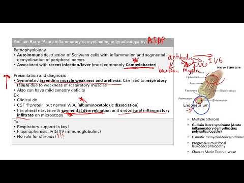 Demyelinating Disease | Nervous system | Step 1 Simplified