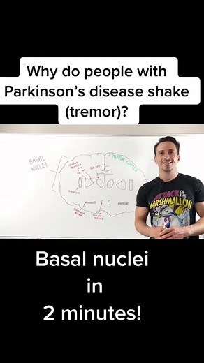 Understanding Parkinson’s Disease Tremors and Movement