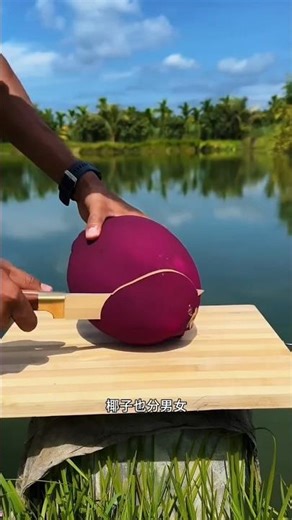 Building Wooden Log Cabin in Forest 🌲🤯 | Survival House Step by Step"7 #facts #amazingfacts