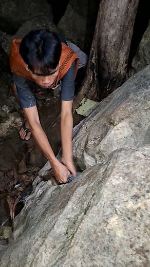 Wow jackpot chicken spotted binti | Jall Af