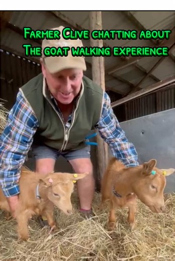 come and join our friendly golden gurnseys for a mischief-filled adventure! All our goat walking activities can be booked on our website at ww.knottsoftempsford.co.uk #whatsknotttolike ---------------------------- Entry to the farm is free! Holidays opening times Tuesday-Saturday 9-5 Sundays 10-4 Our farmer's Cafe is open 10-3 serving delicious hot food and drinks, including this week our spooky specials! 🍔🎃 --- 📍Knotts of Tempsford 121 Station road Tempsford Sandy SG19 2AY --- #fyp #goats #t