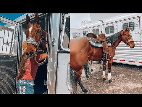 THE FASTEST HORSE I'VE EVER RIDDEN...