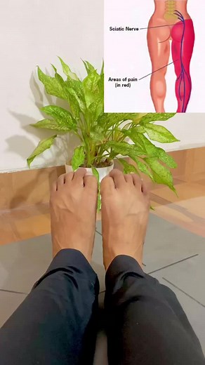 Top 10 Exercises for Health and Fitness