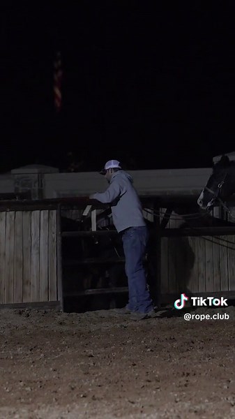 Sorting Cows Series! Part 4. Check back with us all week to see how we like to work through our cattle! #roping #teamroping #horses #cattle #steer #rodeo #jackpot #fyp #fypシ゚viral