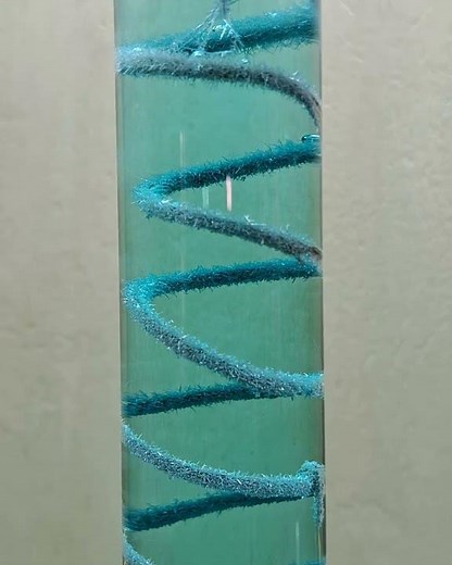 Silver Nitrate and Copper Displacement reaction | Fast forwarded