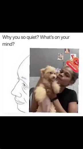 Funny Meme Video Compilation