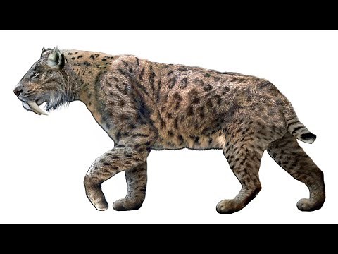Smilodon Sound Effects Vol 1