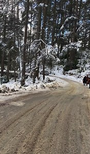 #Awesome | Beauty of Pogal Paristan