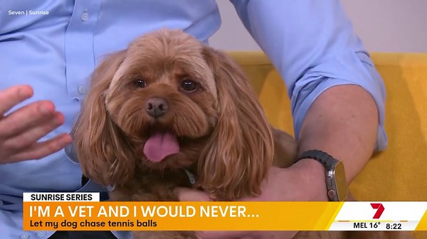 Dr Chris Brown reveals why he won't let his dogs chase tennis balls