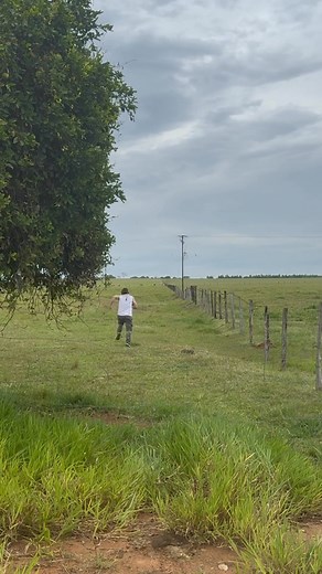 39K reactions · 9K shares | Tutorial de como defendernos en una pelea 鸞﫵@destacar | Manolo Patron Flores | Facebook
