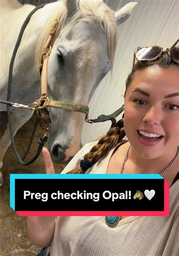 Preg Checking Opal: A Day with Katie Van Slyke