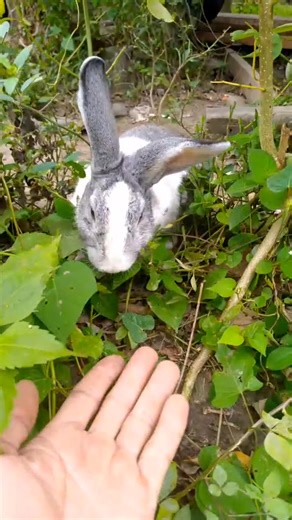 #varalfollower #highlights | ka challenges Vlog Tv