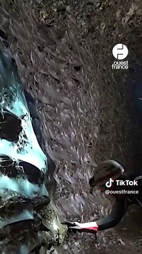 Des scientifiques ont découvert la plus grande toile d'araignée au monde. Large de 100 m2, elle compte près de 110 000 araignées. Halloween est pourtant déjà passé... 🕸️