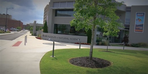 Decatur to apply for federal grant to help cover costs related to Cook Museum expansion