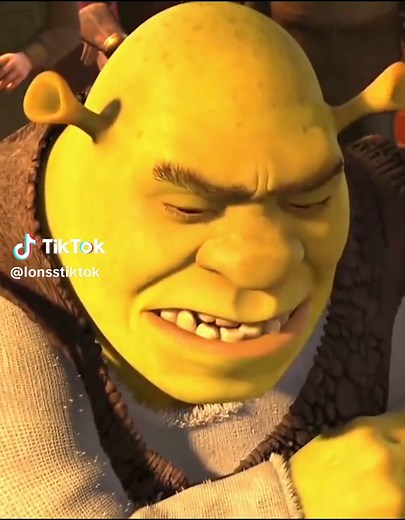 Shrek Rizz Meme Compilation