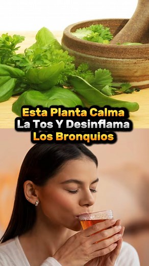 Una planta maravillosa #vidasana #nutricion #fitness #VidaSaludable | Desopas Y Letras