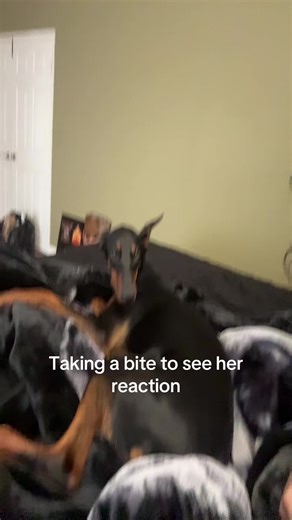 Understanding 'Vivo per Lei' Meaning and Its Impact