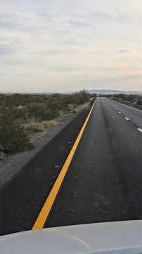 Cactuses 🌵 | Desert Beauty You Can’t Ignore