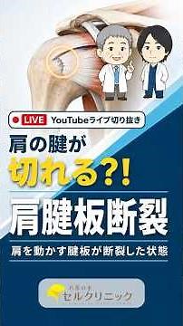 [Doctor Explains] Is Surgery Necessary for a Rotator Cuff Tear? The Option of Conservative Treatment