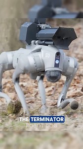 10K views · 137 reactions | Flamethrower-Powered Robot Dog! The Flamethrower-Powered Robot Dog, known as the Therminator, is a four-legged robotic marvel capable of walking across rugged terrain and shooting flames on command. Designed for controlled burns, brush clearing, or demonstrations, it brings science fiction to life with real-world functionality and remote operation. Credits: @ThrowFlame /YT #virals #trend #viralreelsfb #Robotics #flames | OnyN News | Facebook