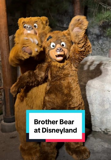 Meet Kenai and Koda from Brother Bear at Disneyland