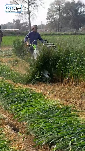 12K views · 190 reactions | Chara Ki Katai Wali Machine | Mini Reaper | Self Propelled Reaper | Hand reaper | #sobyagromachinery #reaper #MiniReaper | Soby Agro Machinery | Facebook