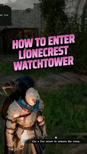 How to Enter Lioncrest Watchtower - Crimson Desert