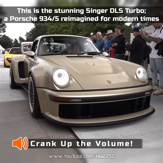 62K views · 1.6K reactions | The Singer DLS Turbo looks and sounds absolutely MAD!  | NM2255 | Facebook