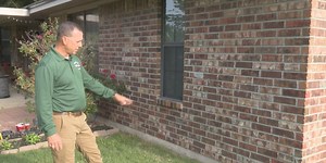 Expert tips for preventing pests