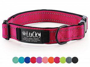 Dog Collar Personalized, Pet Collar Engraved, Custom Dog Collar With Name and Phone Number, Engraved Pet Name Plate, Pet Gift for Dog Lover - Etsy UK