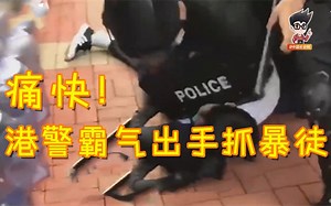 拘捕300人！港警霸气出手抓暴徒