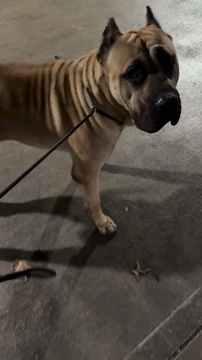 Off the 領‼️ | John Gilbert | Facebook