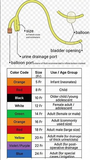 "Understanding Catheter Use and Sizes – Simplified Nursing Guide 💉🩺"