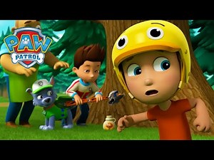 Treetop Mission! - PAW Patrol Episode - Cartoons for Kids