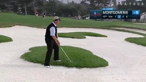 268K views · 863 reactions | It's National Bird Day. So let's watch a seagull try to steal Monty's golf ball. | PGA TOUR Champions | Facebook