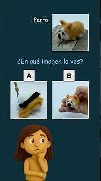 ¿En qué imagen? Reconocer las cosas desde diferentes puntos de vista (teoría de la mente).