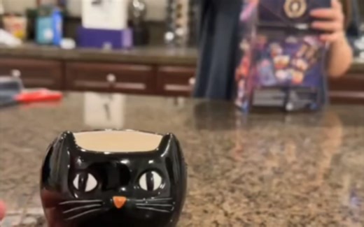 当你有一个猫系女友