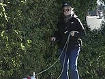 Cybill Shepherd uses a cane as she steps out for a walk with her dogs in LA