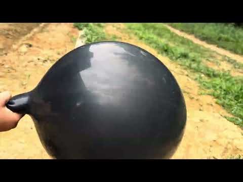 36" BALLOON ROCKET EXPERIMENT OUTDOORS! How Far Does This Balloon Fly? 🚀🎈