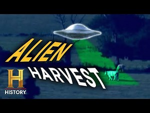 The Mystery of Cattle Mutilations (S1, E1) | UFO Files | Full Episode